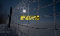野狼狩猎